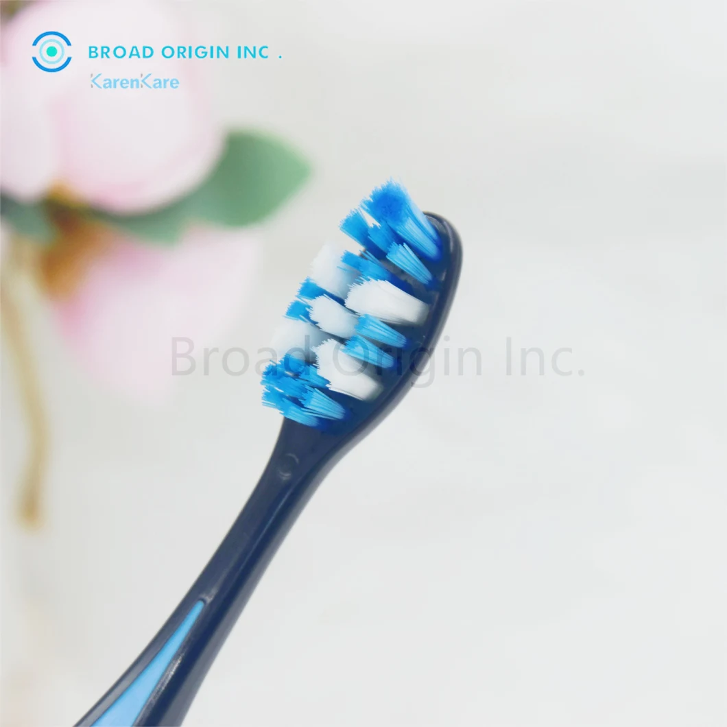 Best Selling Hard Bristle Toothbrush for Man Deep Clean Tea Stain